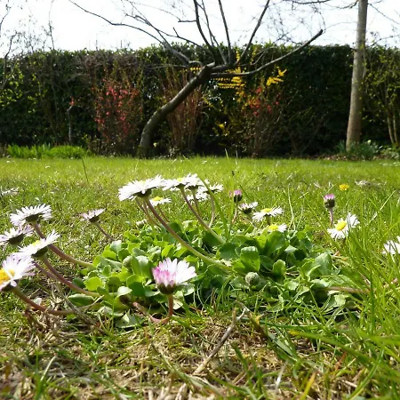La Tamerice B&B 3*