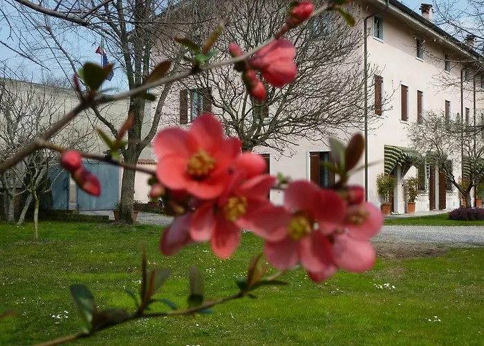 La Tamerice Valeggio sul Mincio