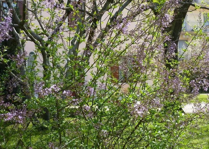 Bed & Breakfast La Tamerice 3*