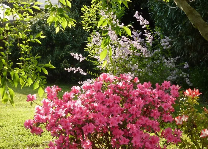 La Tamerice Bed & Breakfast