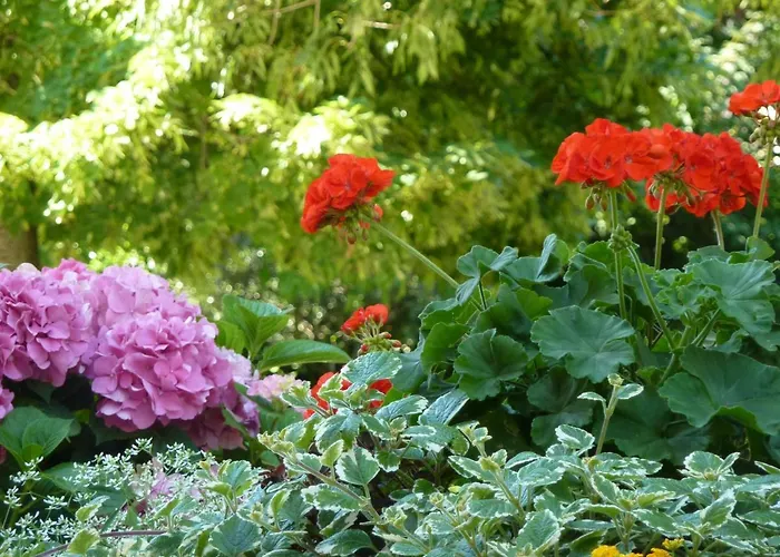 La Tamerice Bed & Breakfast Valeggio sul Mincio