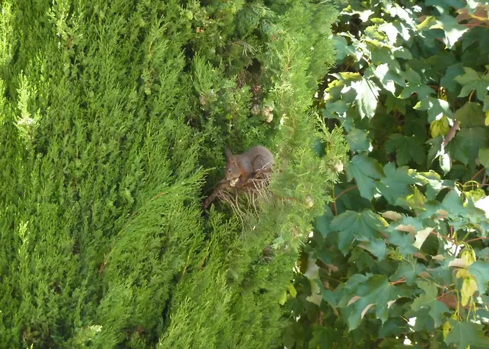 Bed & Breakfast La Tamerice 3*