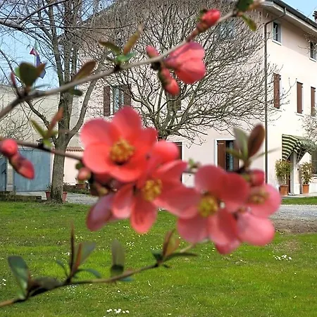 La Tamerice 3* Valeggio sul Mincio
