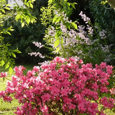 La Tamerice Bed & Breakfast